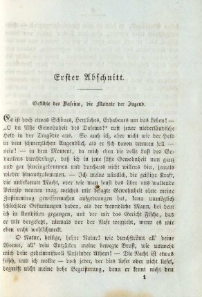 Erster Abschnitt. Gefühle des Daseins, die Monate der Jugend