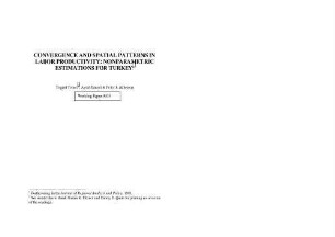 Convergence and Spatial Patterns in Labor Productivity: Non-parametric Estimations for Turkey