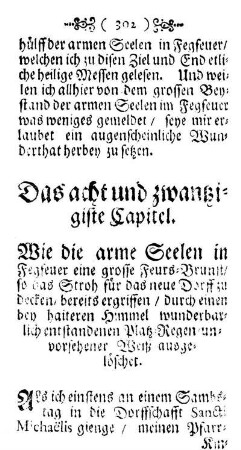Das acht und zwanzigste Capitel. - Das dreyssigste Capitel.