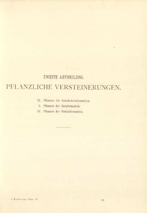 Zweite Abtheilung. Pflanzliche Versteinerungen