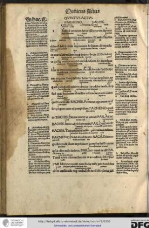 Quintus actus: Parmeno, Bachis