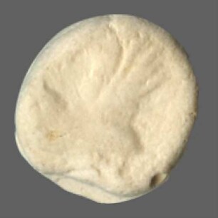 cn coin 8476 (Selymbria)