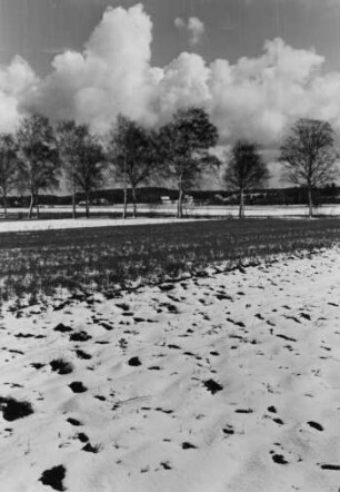 Ein bestelltes Feld im Winter. Die ausgebrachte Saat ist etwas mit Schnee bedeckt