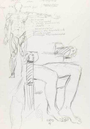 Anatomische Studie eines Mannes mit Bezeichnungen