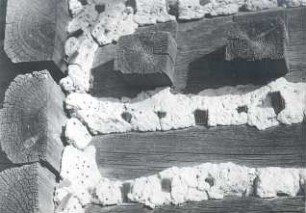 Wohnhaus in Klein Partwitz, Detail : Bauwesen - Exterieur. Ort: Bjezdowy / Klein Partwitz. Mit Leimkraut verschmierte Fugen am gebohlten Haus.