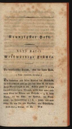 Neunzigster Heft.