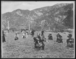 Poppy Field in Southern California