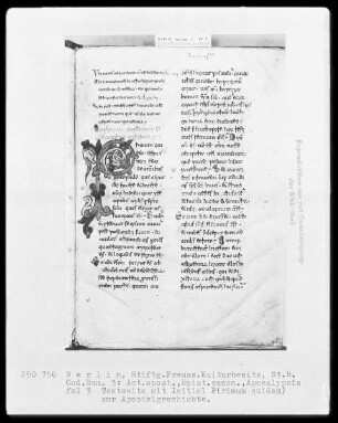 Neutestamentliche Schriften, Bibliorum sacrorum pars finalis — Initiale P(rimum quidem), Folio 3recto