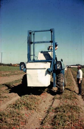 Fotografie: Gartenbautechnik-Freiland, Gabelstapler, Transport, Tomate