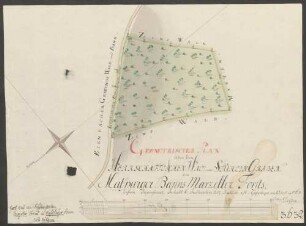 Geometrischer Plan über den Herrschaftlichen Wald am Stühlin Graben, Malspurger Banns, Marzeller Forsts