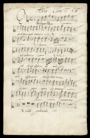 Altus Chori 1