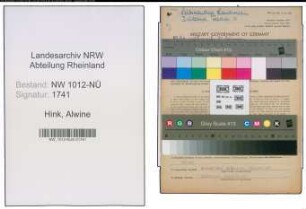 Entnazifizierung Alwine Hink , geb. 26.01.1875 (Kauffrau)