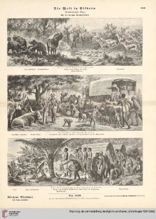 Nro. 1049