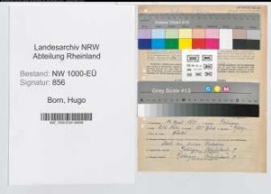 Entnazifizierung Hugo Born, geb. 14.04.1891 (Fabrikant)