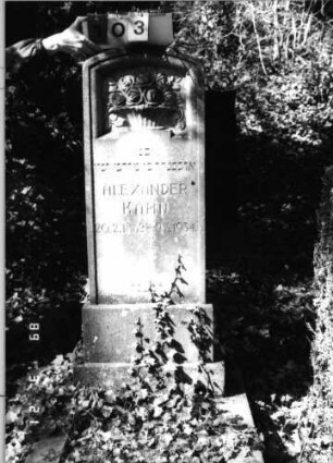 Grabstein 103 (Index: 99792646) Material: Kalkstein Zustand: gut Maße HxBxT: 143x58x16 cm Beschreibung: Stele, getreppter Sockel, Segmentbogenabschluß Symbolik: Korb mit Rosen: Grabstein 103