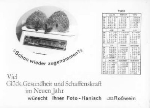 Grußkarte zum Jahreswechsel 1982/1983 : "Schon wieder zugenommen?". Grußkarte des Fotografen aus Roßwein zum Jahreswechsel 1982/1983 (mit Igelpaar auf einer Küchenwaage)