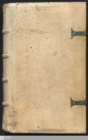 Vitæ Sanctorvm