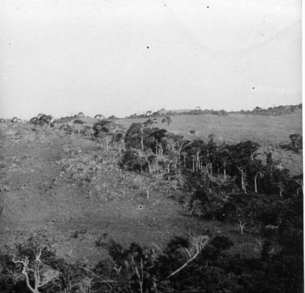 Prairie typique, cours d'eau boisé