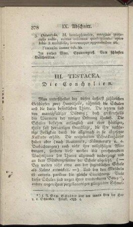 III. Testacea. Die Conchylien.