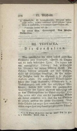 III. Testacea. Die Conchylien.