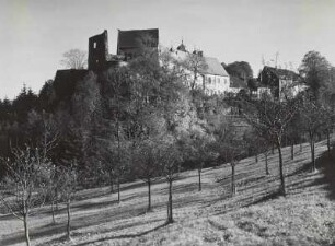 Schloss Lauenstein. Ansicht der Ruine von Westen