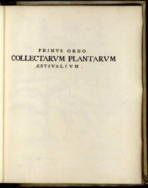 Primus Ordo.