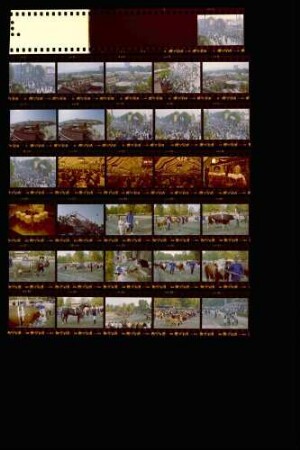 90. Landwirtschaftliches Hauptfest (LWH) in Verbindung mit dem Cannstatter Volksfest, 27.09.-05.10.1986, Cannstatter Wasen