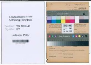 Entnazifizierung Peter Jellesen , geb. 20.02.1897 (Stadtsekretaer)