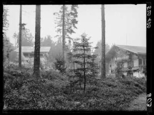 Bad Königswart - Glatzen Kr. Marienbad (Forsthäuser P. Schulz 1910
