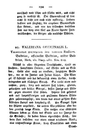 95. Valeriana officinalis L.