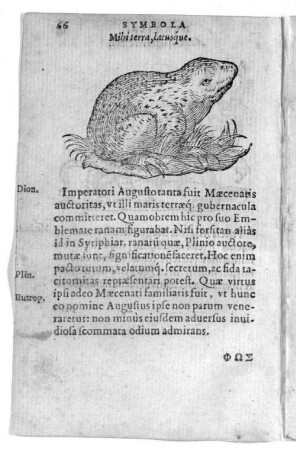 Mihi terra, lacusque.