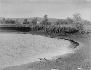 Großhartmannsdorfer Teich : Der Großhartmannsdorfer Teich beim Ablaufen.