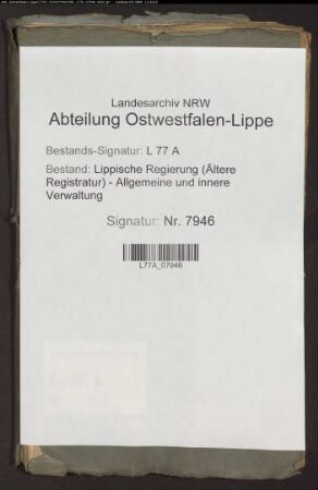 Blitzableiter auf dem Nicolai-Kirchturm zu Lemgo