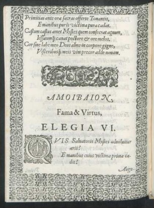 Elegia VI.