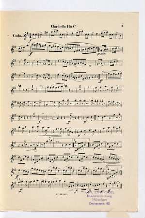 Die Schwimmer : Walzer : op. 99