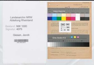 Entnazifizierung Jacob Giesen, geb. 02.03.1905 (Landwirt)