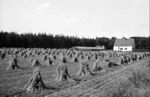 Nierswalde: Reichswaldsiedlung, Hof mit Gärtnerei, Garben im Vordergrund