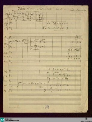 Den Gefallenen zum Gedächtnis den Trauernden zum Trost - Mus. Hs. 1274 : V (2), Coro (3), orch