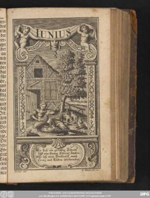 [Der Monat Junius.]