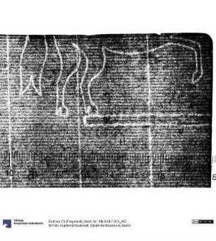Einhorn (?) (Fragment)