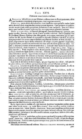 Cap. XXVI. Hominem concernentia tractans