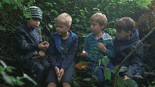 Von Bananenbäumen träumen