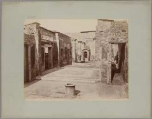Pompei: Casa del Poeta tragico, No. 5056