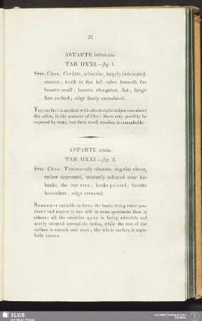 Astarte imbricata. Tab. DXXI.—fig. 1