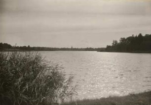 Moritzburger Teichgebiet. Großteich mit Blick auf Kirchturm von Moritzburg