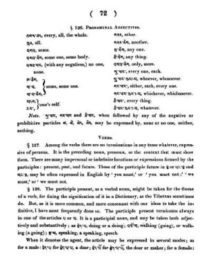 §126. - Pronominal Adjectives