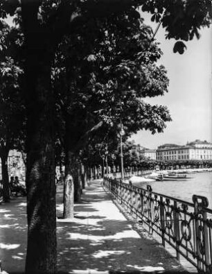 Strandpromenade : Blick entlang der von Bäumen gesäumten Promenade von Lugano