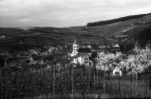 Achkarren: Kirchturm zwischen Blüten