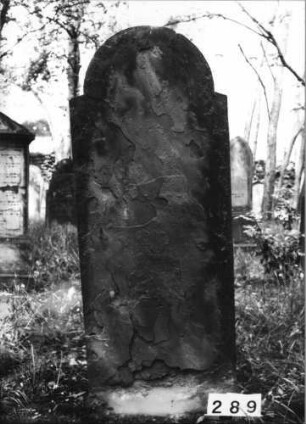Grabstein 289 (Index: 99629790) Material: Sandstein Zustand: völlig abgeblättert Maße HxBxT: 160x60x8 cm Beschreibung: Stele mit eingezogenem Rundbogenabschluß: Grabstein 289