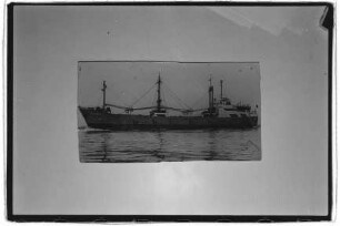Najade (1953), Seereederei Nereus GmbH Hamburg